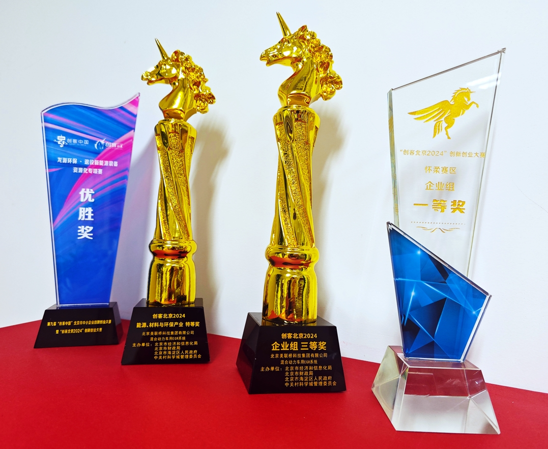 羺ƼųȻ춯EGRϵͳĿͱ2024չǿΧ й2024 